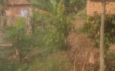 Gallery thumbnail Bweyogerere kiwanga plot