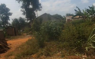 Mukono ngando plot