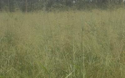Farm land435,600 square feet